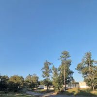 Twin Oaks Park ico