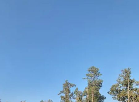 Twin Oaks Park