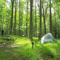 Backcountry Campsite #32 ico