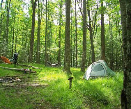 Backcountry Campsite #32