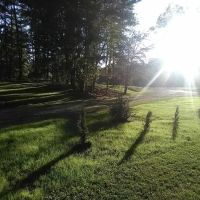 Rolling Hills Village ico