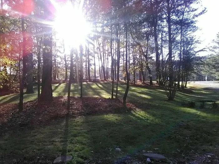 Rolling Hills Village Picture 2