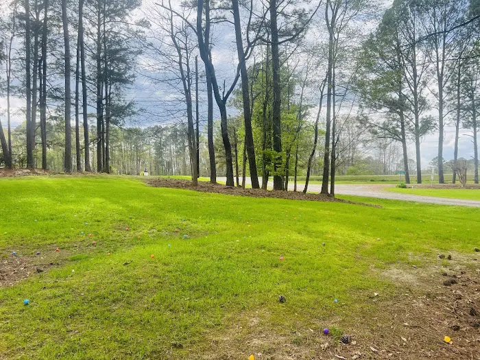Rolling Hills Village Picture 10