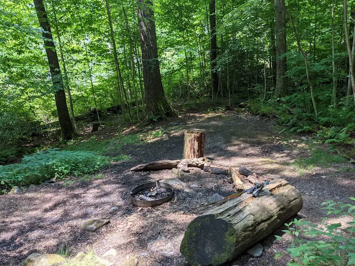 Backcountry Campsite #31 Picture 3