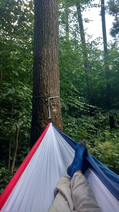Backcountry Campsite #31 Picture 10