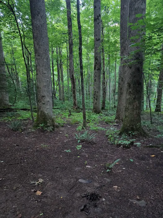 Backcountry Camp 21 Picture 6