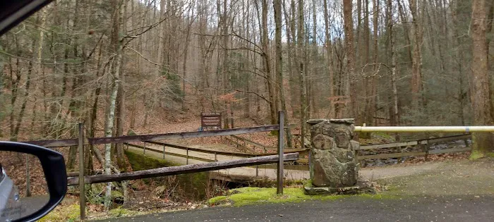 Flat Fork Group Campground Picture 1