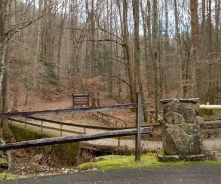 Flat Fork Group Campground