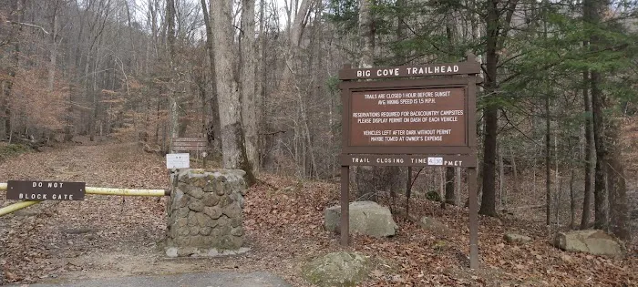 Flat Fork Group Campground Picture 2