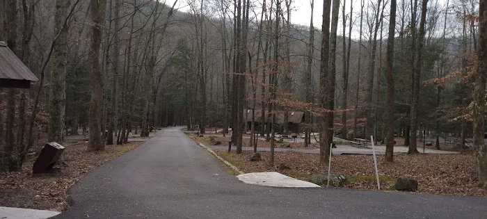 Flat Fork Group Campground Picture 4