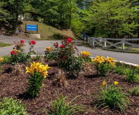 Cahaba Mobile Home Estates