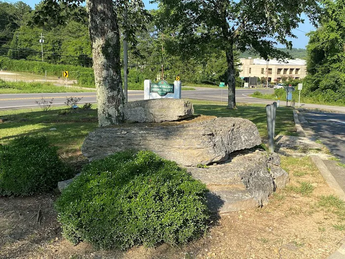 Carson Village Homes & RV Community Picture 4
