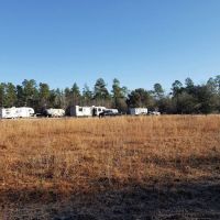 Tanager Woods RV Campground ico