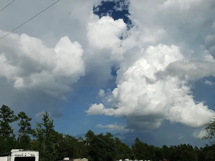 Tanager Woods RV Campground Picture 3