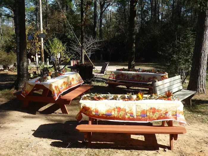 Kountry Air RV Park Picture 5