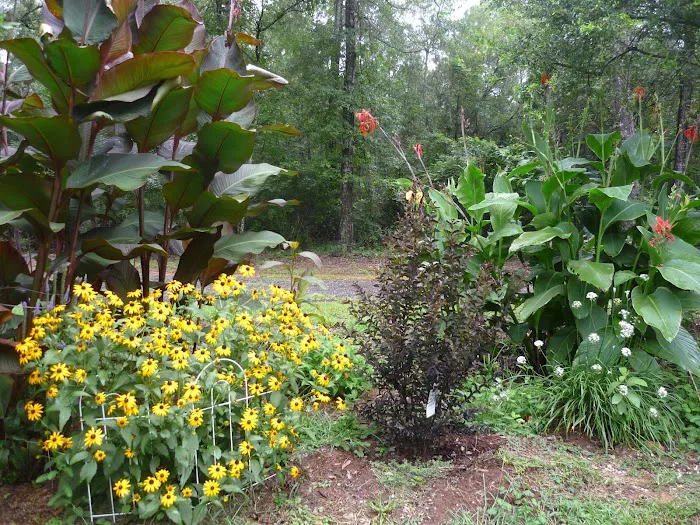 Kountry Air RV Park Picture 4