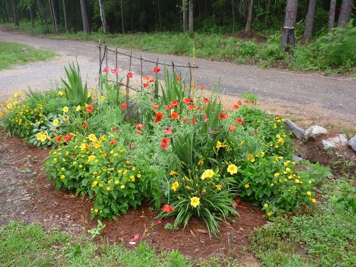 Kountry Air RV Park Picture 9