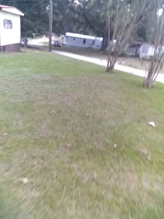GreenPond Mobile Home Park Picture 2