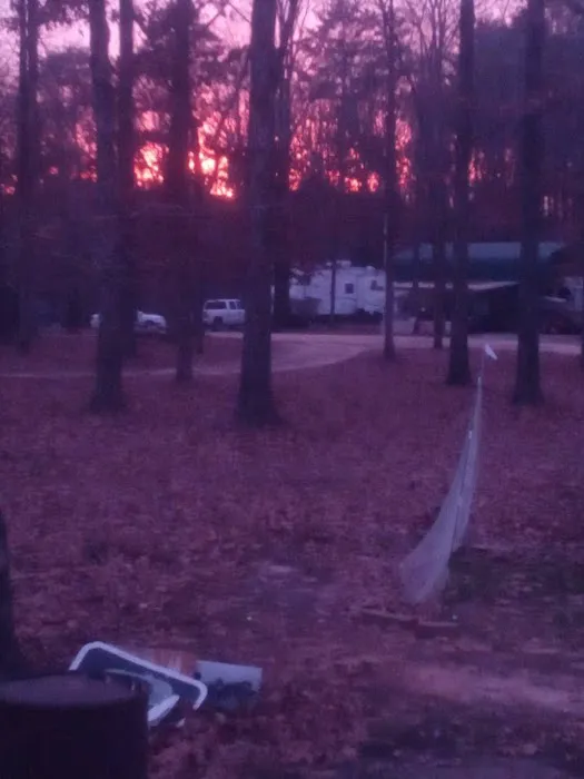 Lazy Dans RV Park Picture 2