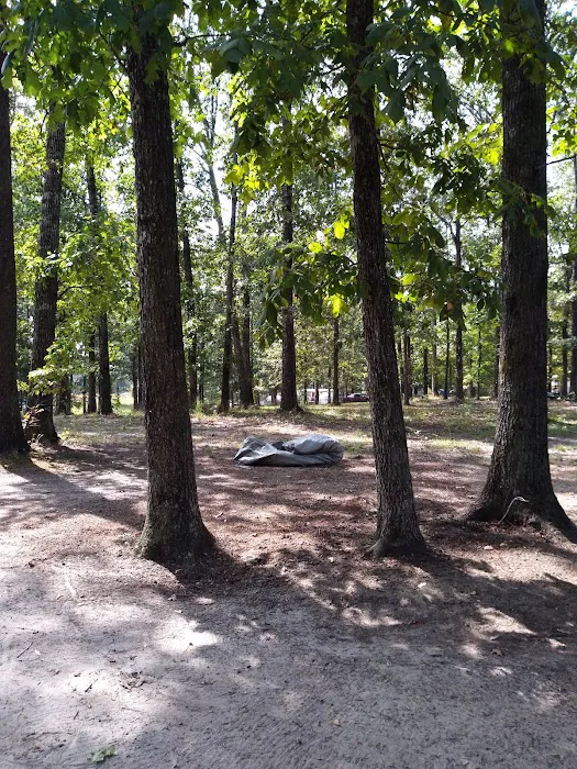 Lazy Dans RV Park Picture 10