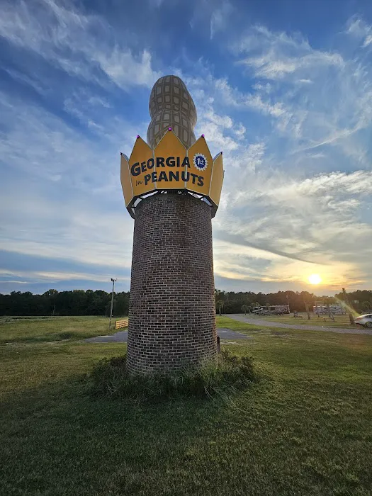 Georgia Peanut RV Park Picture 5