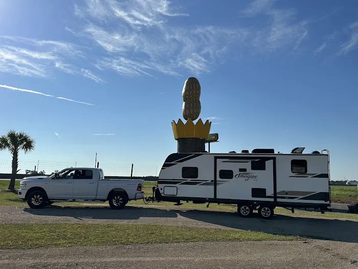 Georgia Peanut RV Park Picture 10