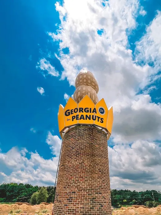Georgia Peanut RV Park Picture 9