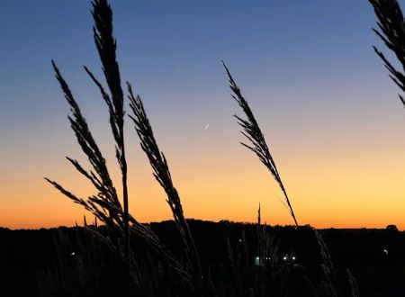 The Point Campground & Farm - Lake Cumberland KY Nightly Campground and Annual RV Park