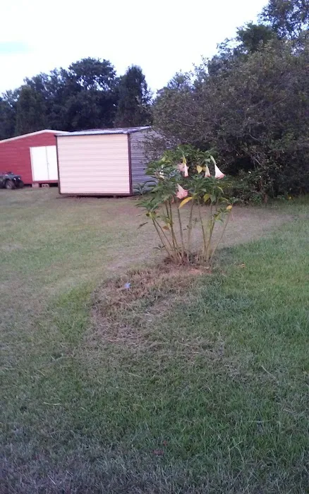 Daisy City Mobile Home Park Picture 1