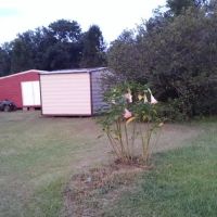 Daisy City Mobile Home Park ico