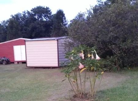 Daisy City Mobile Home Park