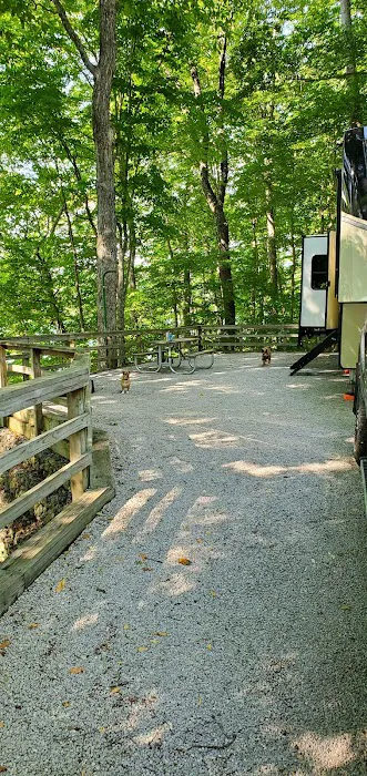 U.S. Army Corps of Engineers Cumberland Point Campground Picture 5