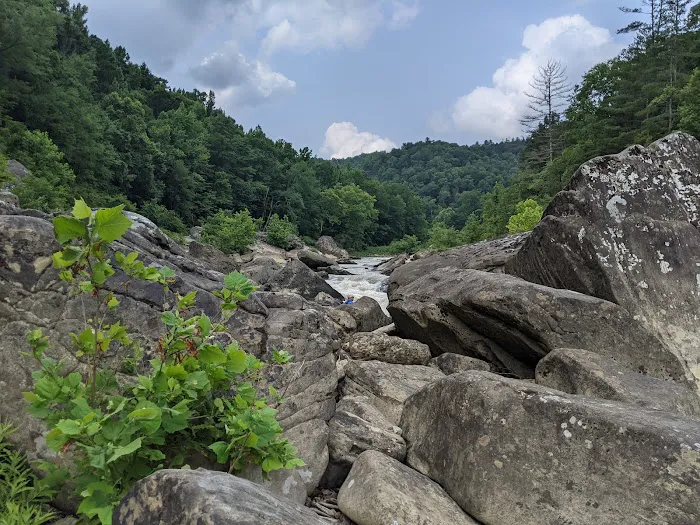 Bandy Creek Campground Picture 6