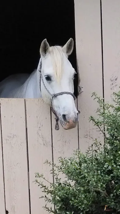 Spruce Creek Campground and Stables Picture 9