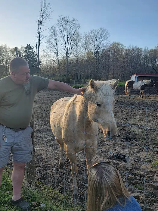 SILVER FEATHER ACRES Picture 4
