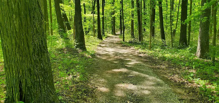 Dogwood Springs Campground Picture 9