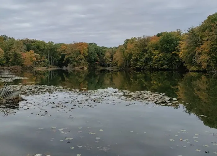 Dogwood Springs Campground Picture 1