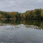 Dogwood Springs Campground