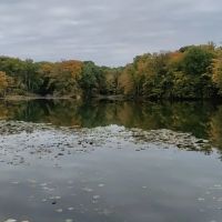 Dogwood Springs Campground ico
