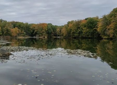 Dogwood Springs Campground