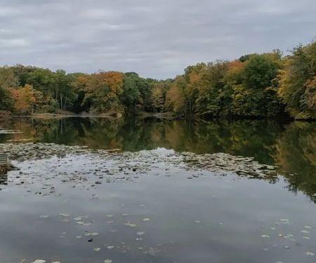 Dogwood Springs Campground