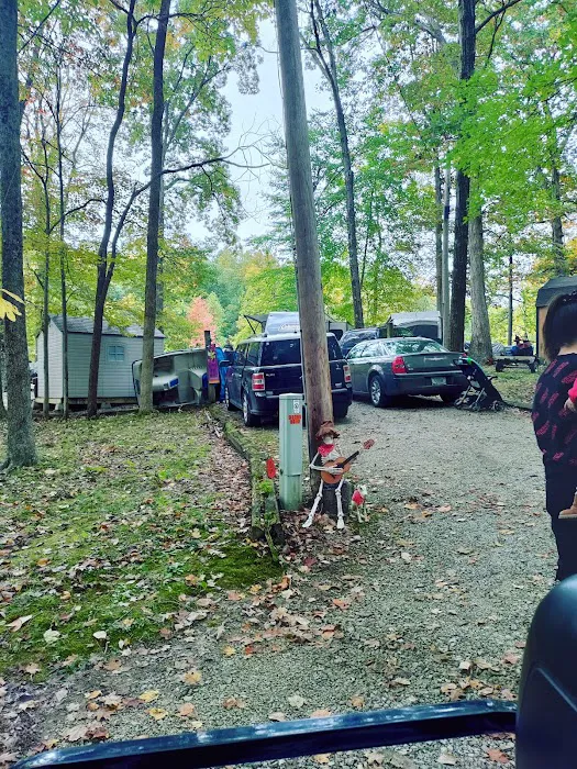 Dogwood Springs Campground Picture 3