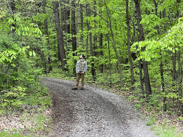 Dogwood Springs Campground Picture 10