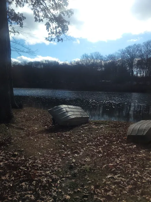 Dogwood Springs Campground Picture 8