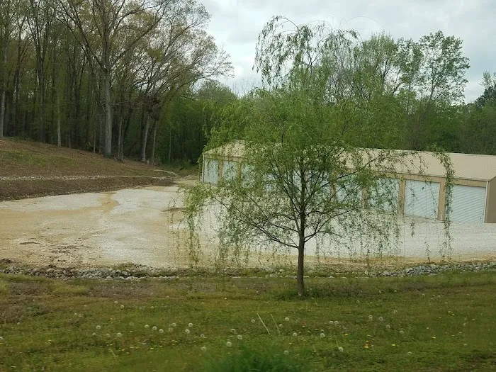 Graceland RV Park Picture 2