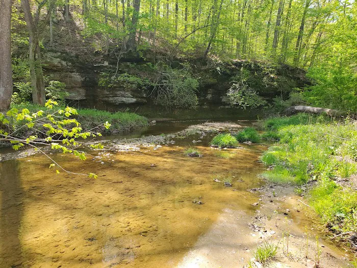 Fallen Rock RV Parke & Campground Picture 9
