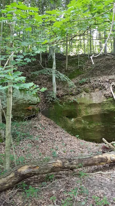 Fallen Rock Park Restaurant Picture 4