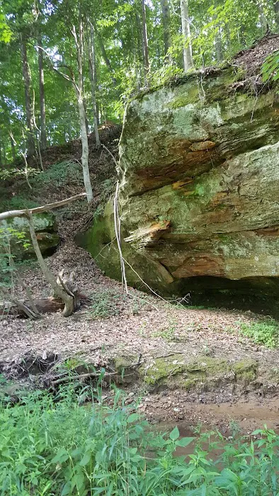Fallen Rock Park Restaurant Picture 10