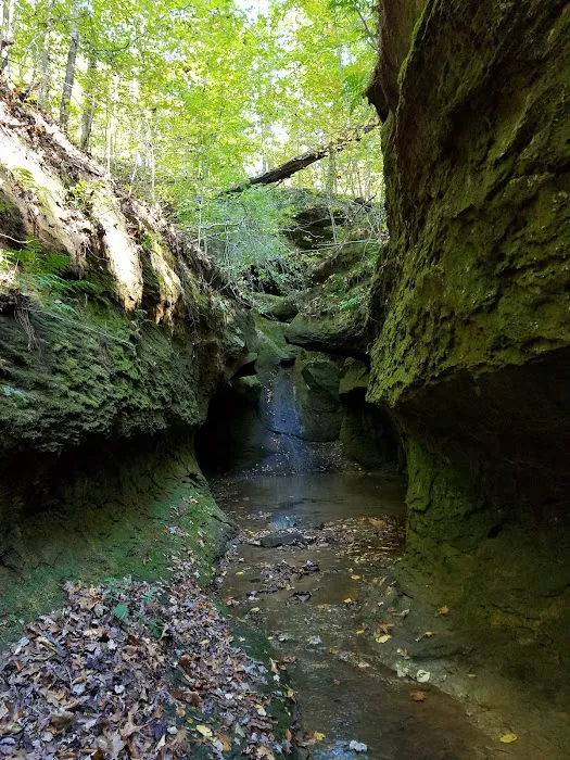 Fallen Rock Park Restaurant Picture 9