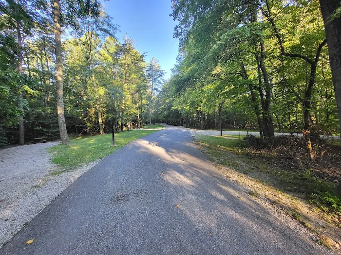 Owen-Putnam State Forest Picture 9